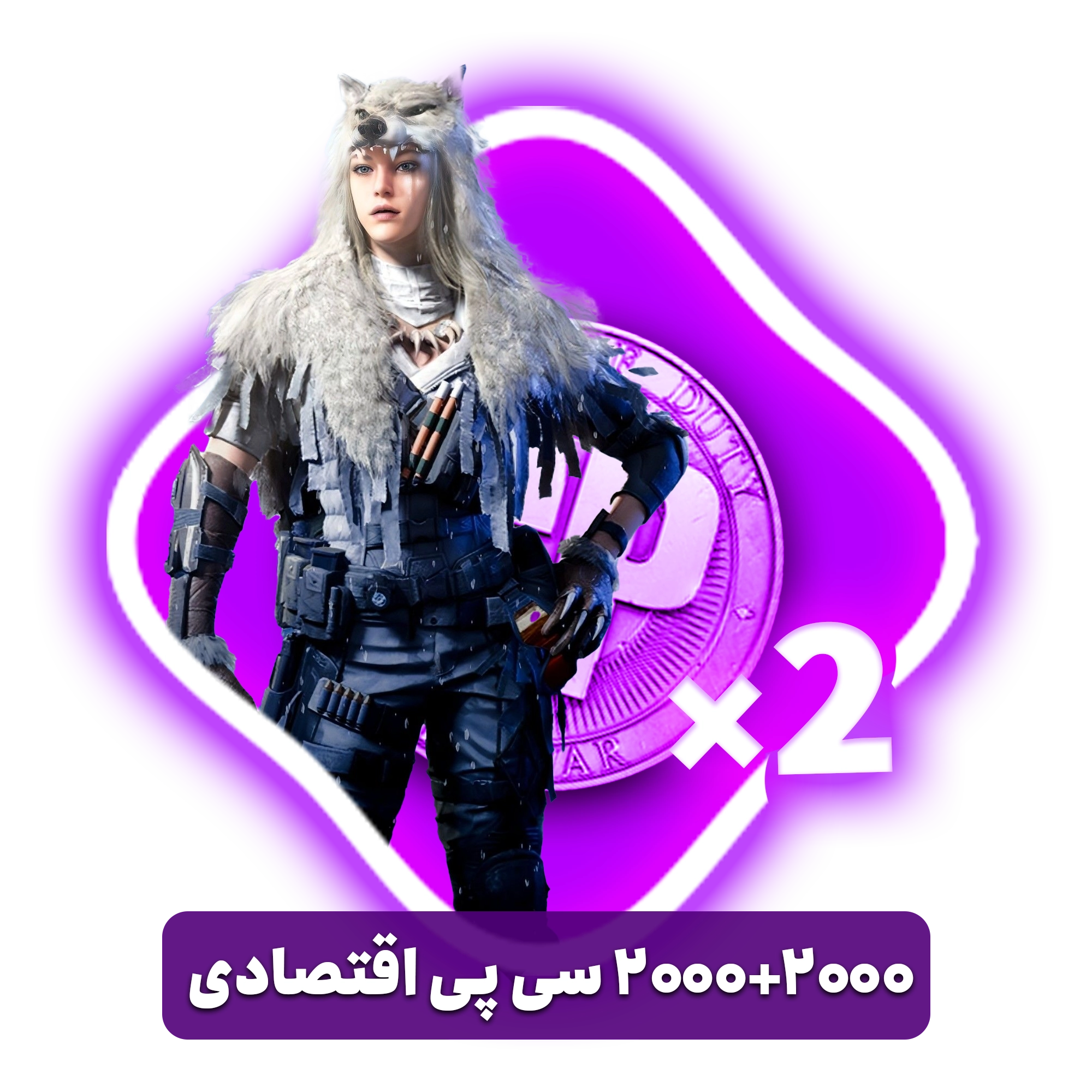 20002000 سی پی دوبل اقتصادی